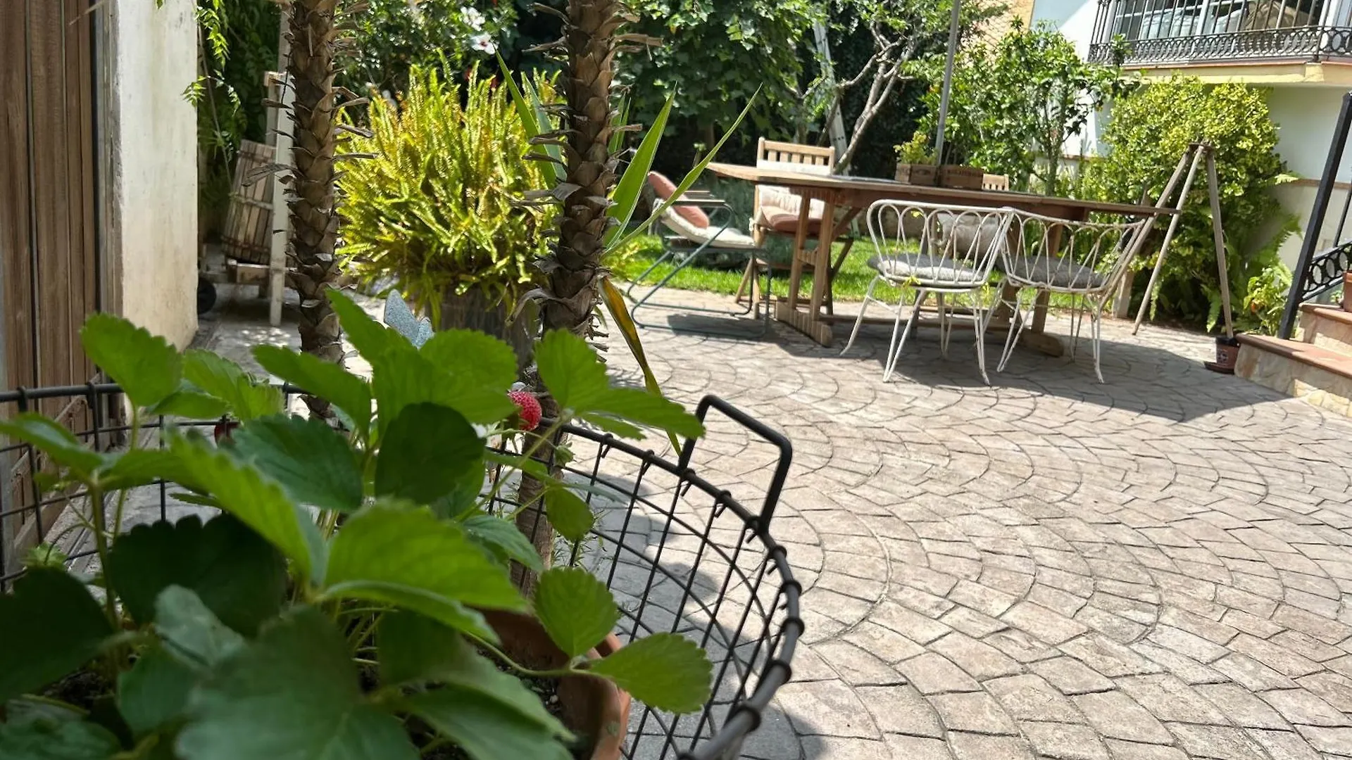 At Home In Malaga Stay & Solo Travellers Rincon de la Victoria Bed & Breakfast