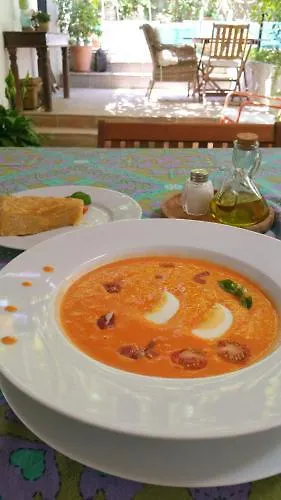 Bed & Breakfast At Home In Malaga Stay & Solo Travellers Rincon de la Victoria